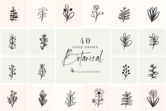 40 Hand Drawn Botanical Illustrations for Graphics and Editorial Design