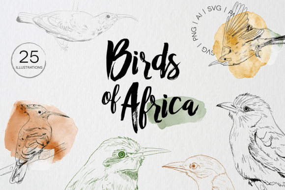 Birds of Africa Illustrations: Graphics for Local Branding