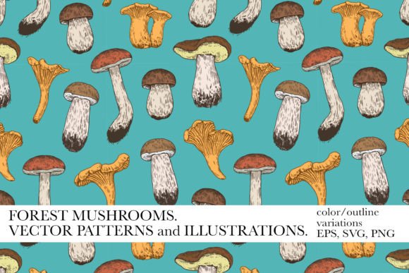 Forest Mushrooms Illustrations: Graphics for Brand Identity