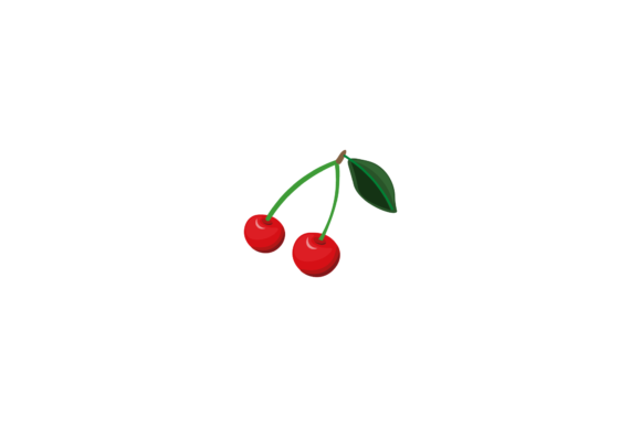 Fruit Cherry Detail Illustrations Vector: A Hands-On Review