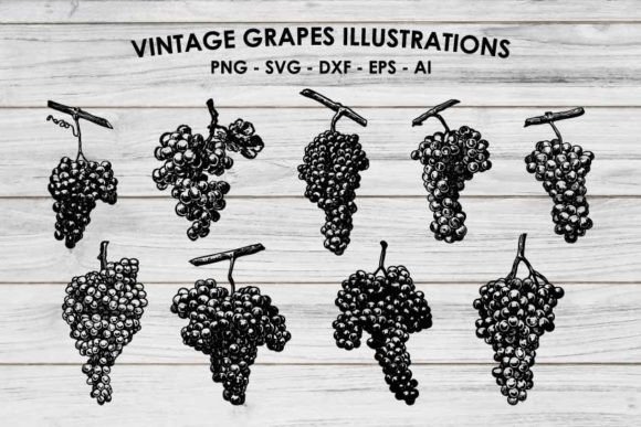 Grapes Illustrations SVG: Vector Graphics for Sellers