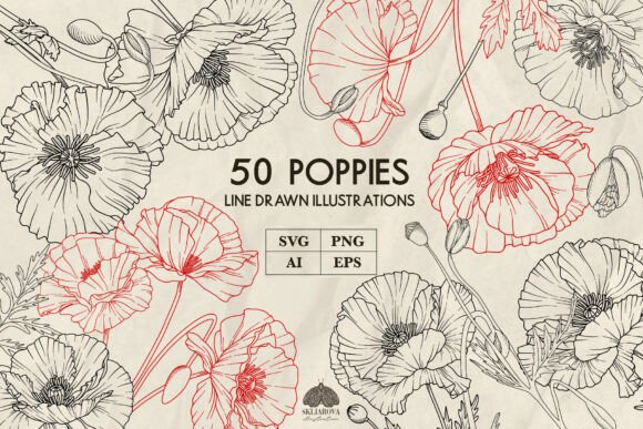 Poppies Line Art Collection: Graphics & Illustrations